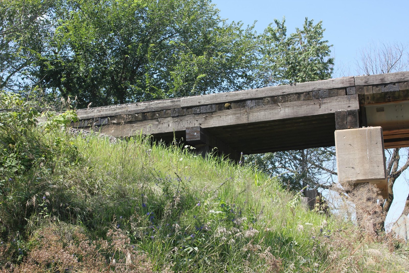 South approach